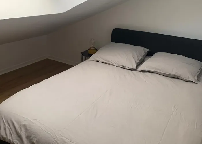 Apartament Coeur De - 4 Couchages Nantes